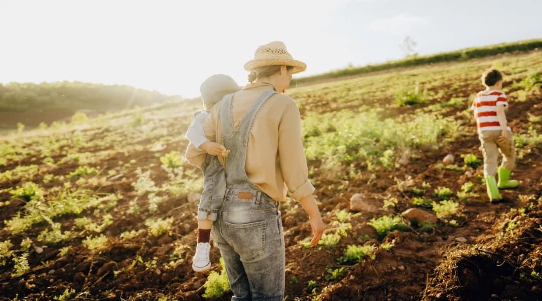 SC lança Iniciativa para Fortalecer Agricultura Familiar