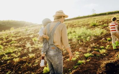 SC lança Iniciativa para Fortalecer Agricultura Familiar