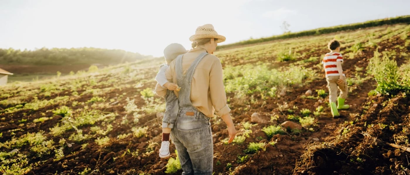 Programa de Aquisição de Alimentos abre oportunidades para agricultura familiar fornecer para o Estado